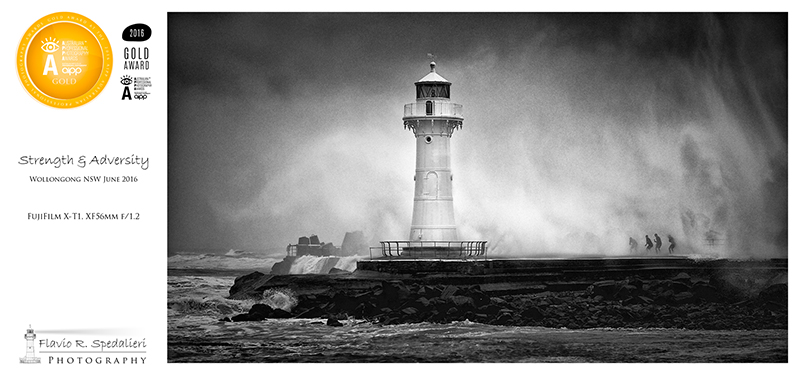 Strength & Adversity - Gold Award Winning Print